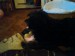 DSC00080.JPG
