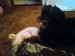 DSC00087.JPG